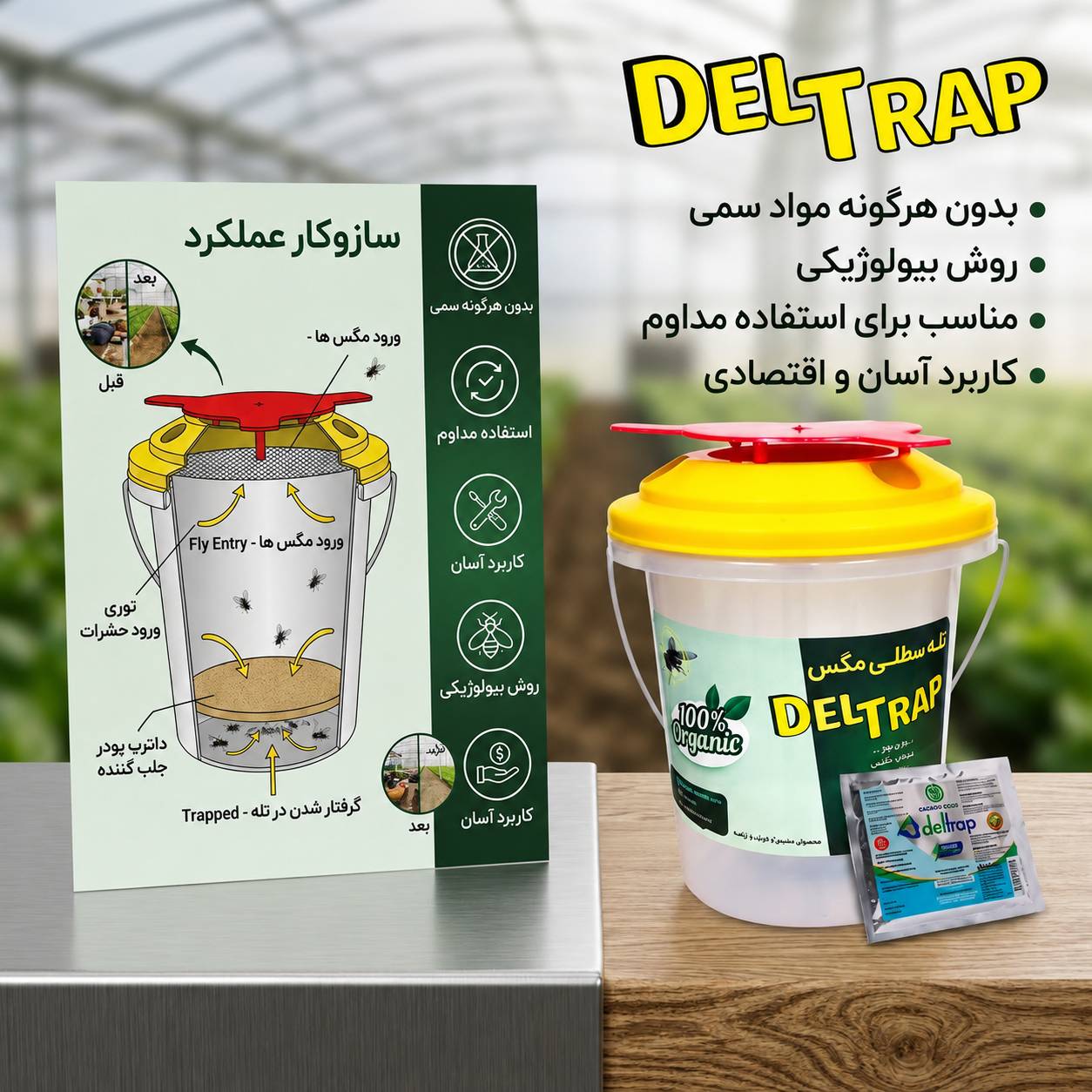 صفر تا صد تله سطلی مگس؛ مکانیزمی برای نابودی ده‌ها هزار مگس در یک تله